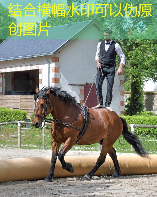 jogos de cassino de brinquedo para comprar jogos de cassino de brinquedo para comprar